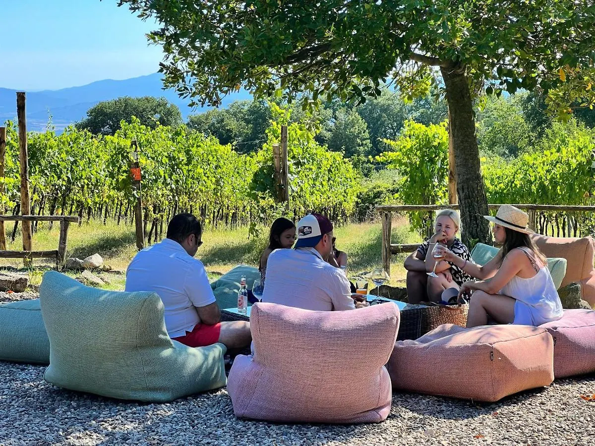 Valdonica Winery Fine Dine & Wine Hotel Sassofortino