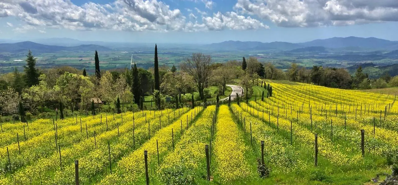 Valdonica Winery Fine Dine & Wine Hotel Sassofortino 0*,  Italy