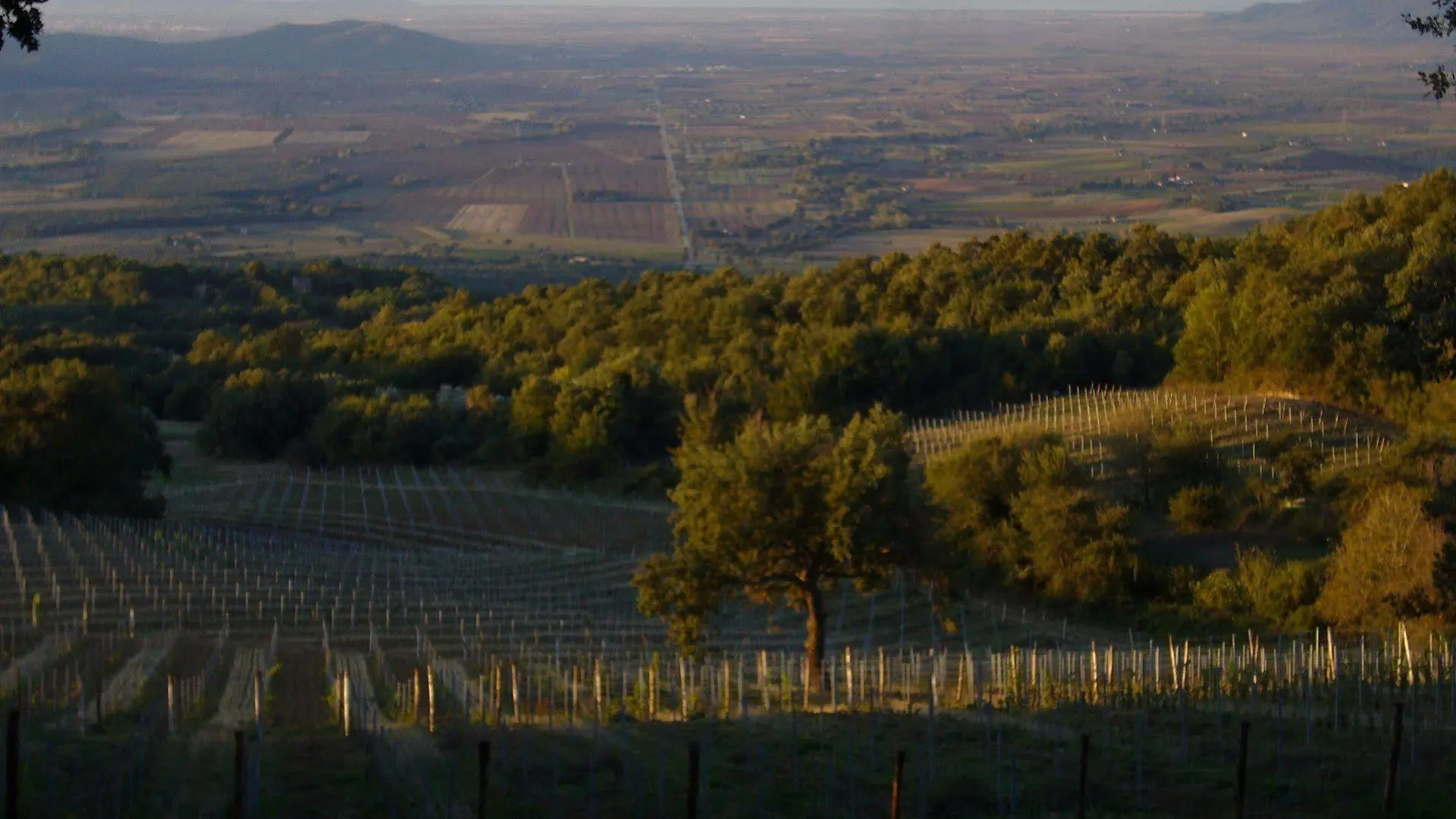 Bauernhof Valdonica Winery Fine Dine & Wine Hotel Sassofortino