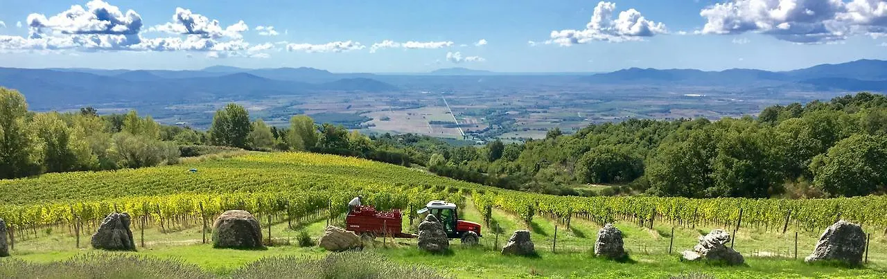 Valdonica Winery Fine Dine & Wine Hotel Sassofortino 0*,