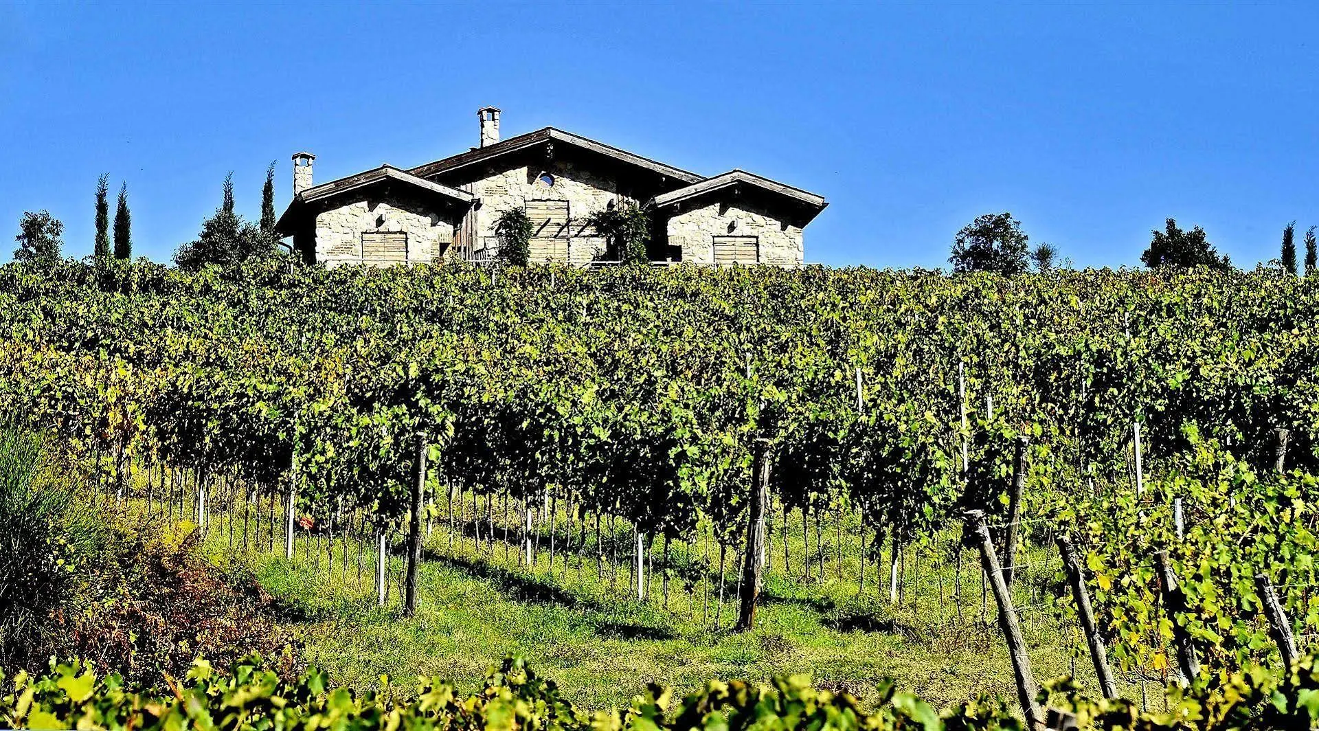 Valdonica Winery Fine Dine & Wine Hotel Sassofortino 0*,  Italy