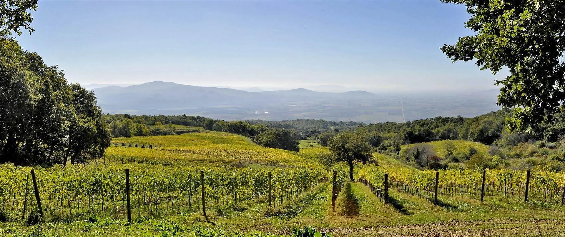 Valdonica Winery Fine Dine & Wine Hotel Sassofortino 0*,